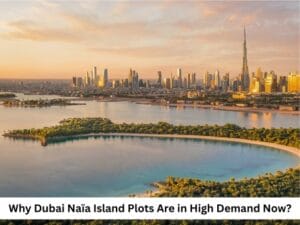 Why Dubai Naïa Island Plots Are in High Demand Now? Feature