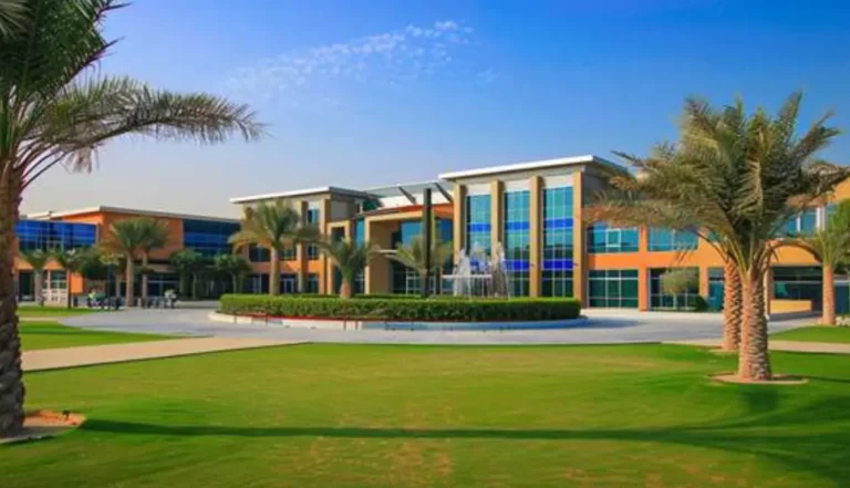 Schools and Healthcare Near Downtown Dubai
